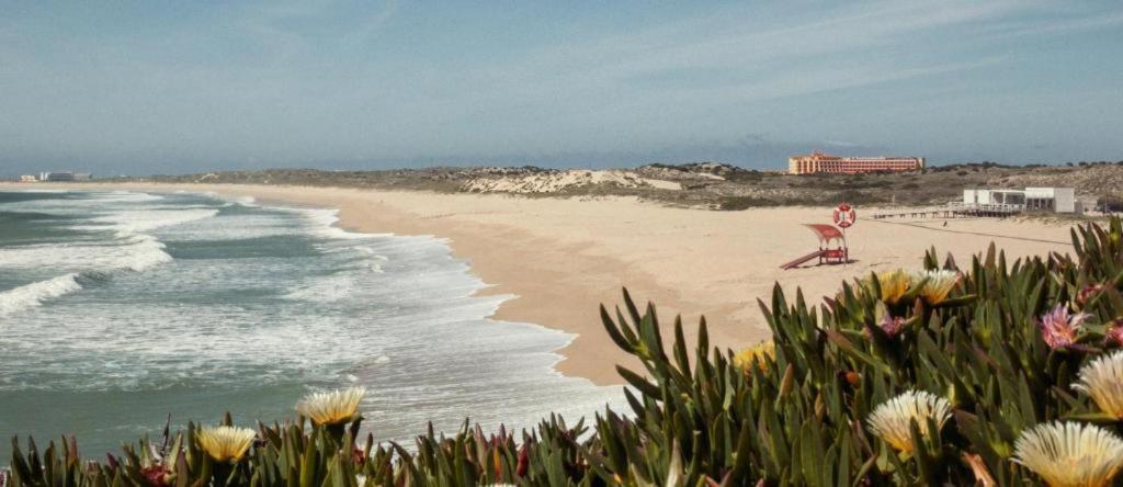 Mare Cheia: Beach And Surf Apartment 2 孔索拉桑 外观 照片